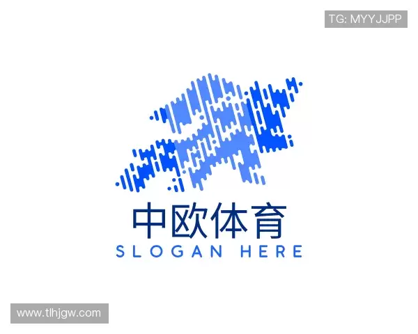解读zoty中欧